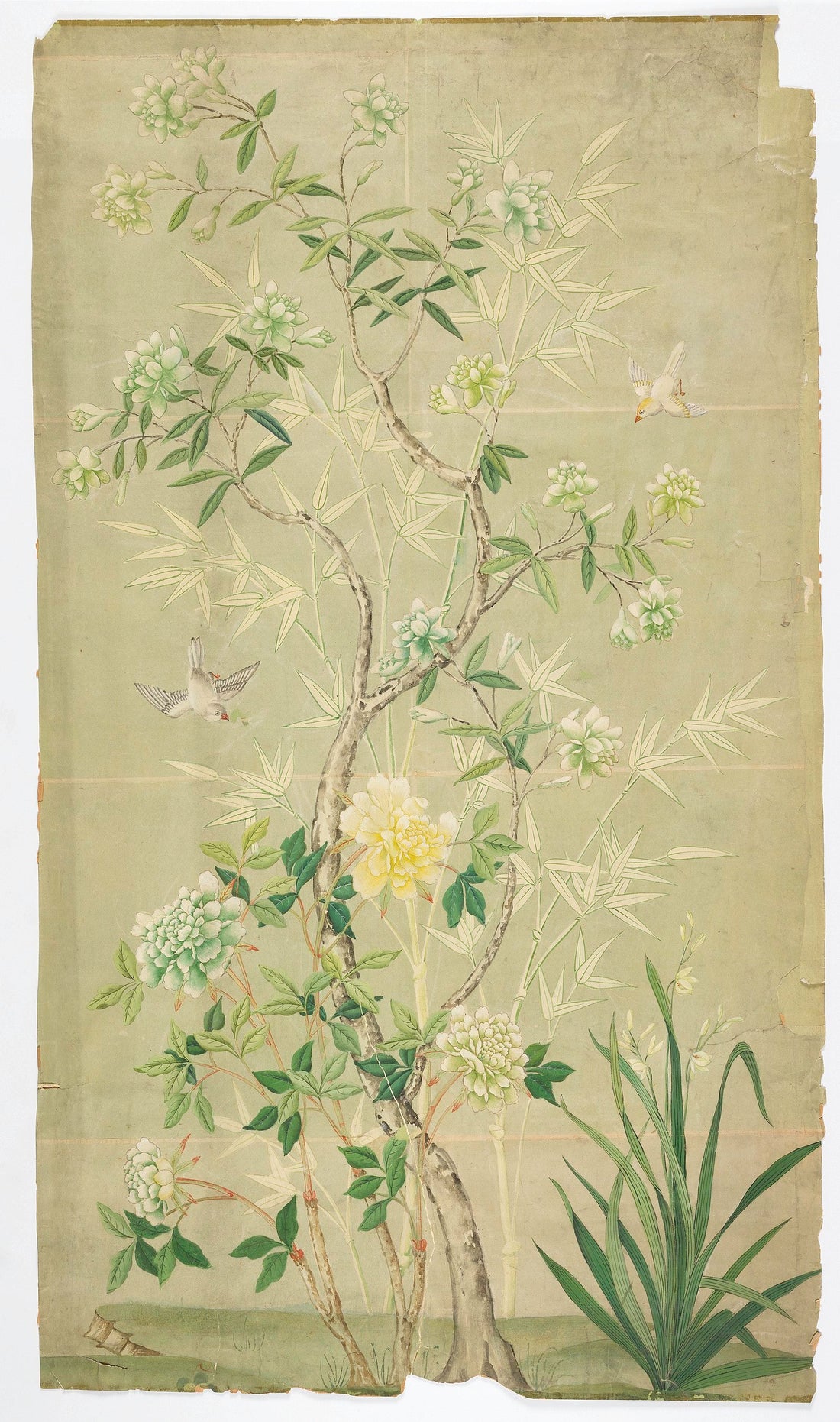 Hand-painted chinoiserie wallpaper panel showing pink and white peonies, branches, and exotic birds on a soft green ground