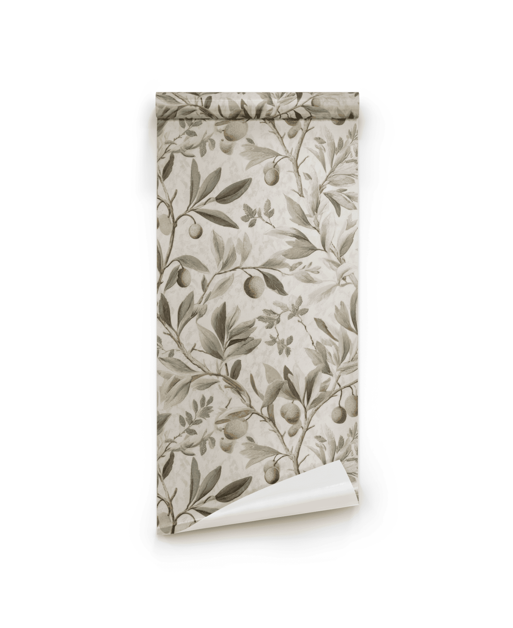 Olive Grove Wallpaper features a monochrome botanical design of olive branches, leaves, and fruit on a light background—ideal for creating a natural atmosphere in any space.