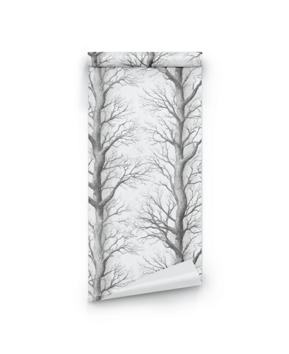 Winter Branches Wallpaper features a striking black and white design of leafless tree branches on a white background—a stylish, nature-inspired décor accent.