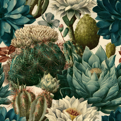 Engraved Succulent Wallpaper