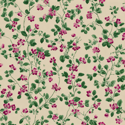 Raspberry Vine Wallpaper