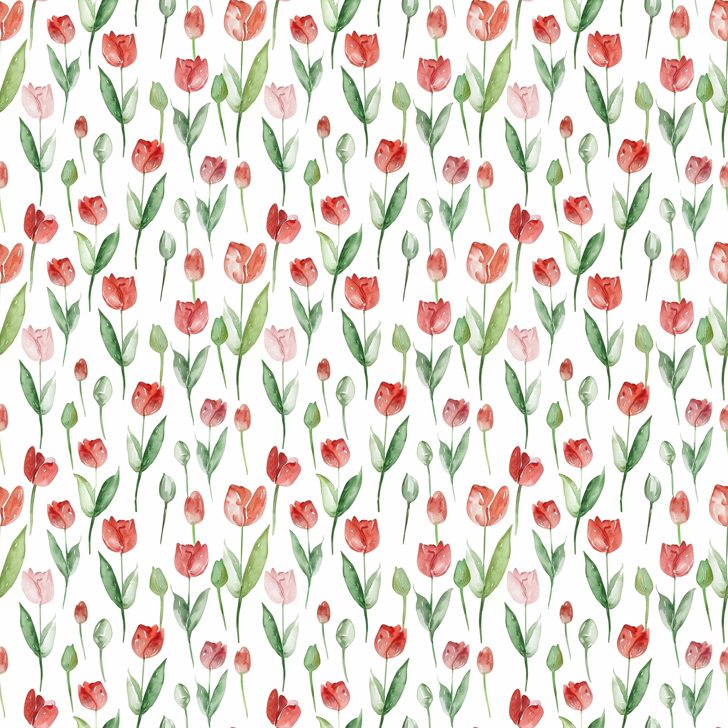 Tulip Meadow