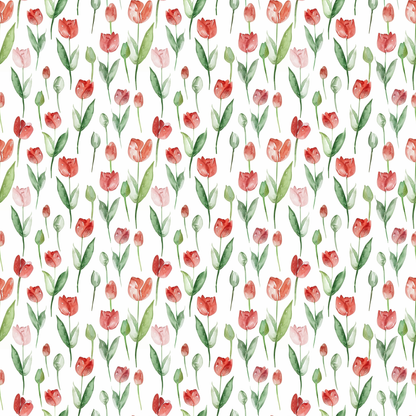 Tulip Meadow