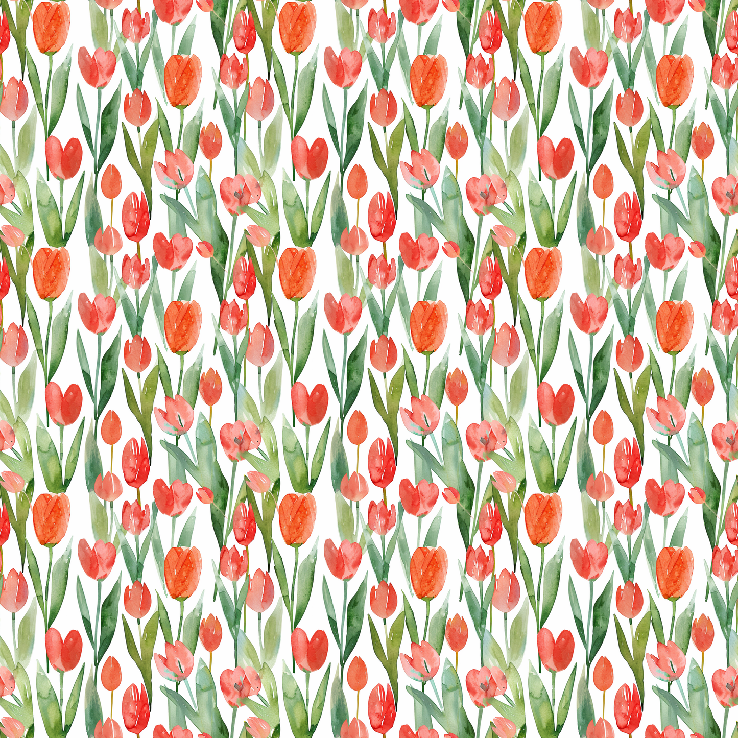 Tulip Meadow Watercolor