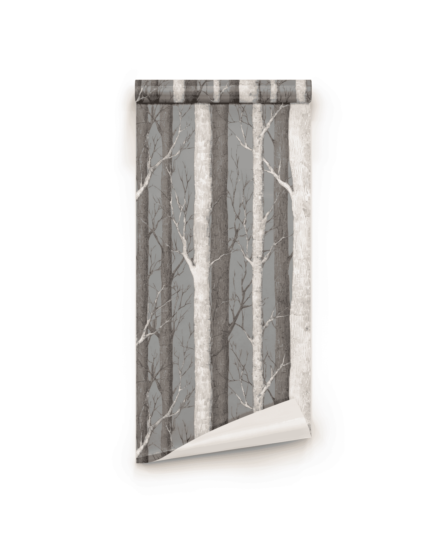 Birch Grove Wallpaper features a rolled sheet with vertical birch trees and gray and white branches, creating a serene forest scene that brings nature-inspired wall art into your home.