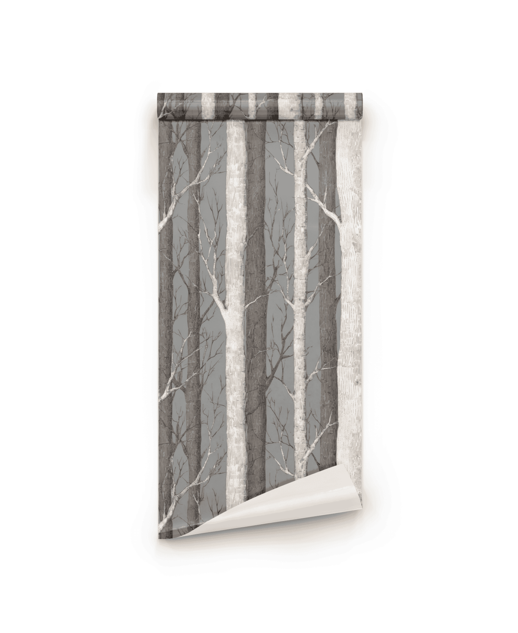 Birch Grove Wallpaper features a rolled sheet with vertical birch trees and gray and white branches, creating a serene forest scene that brings nature-inspired wall art into your home.