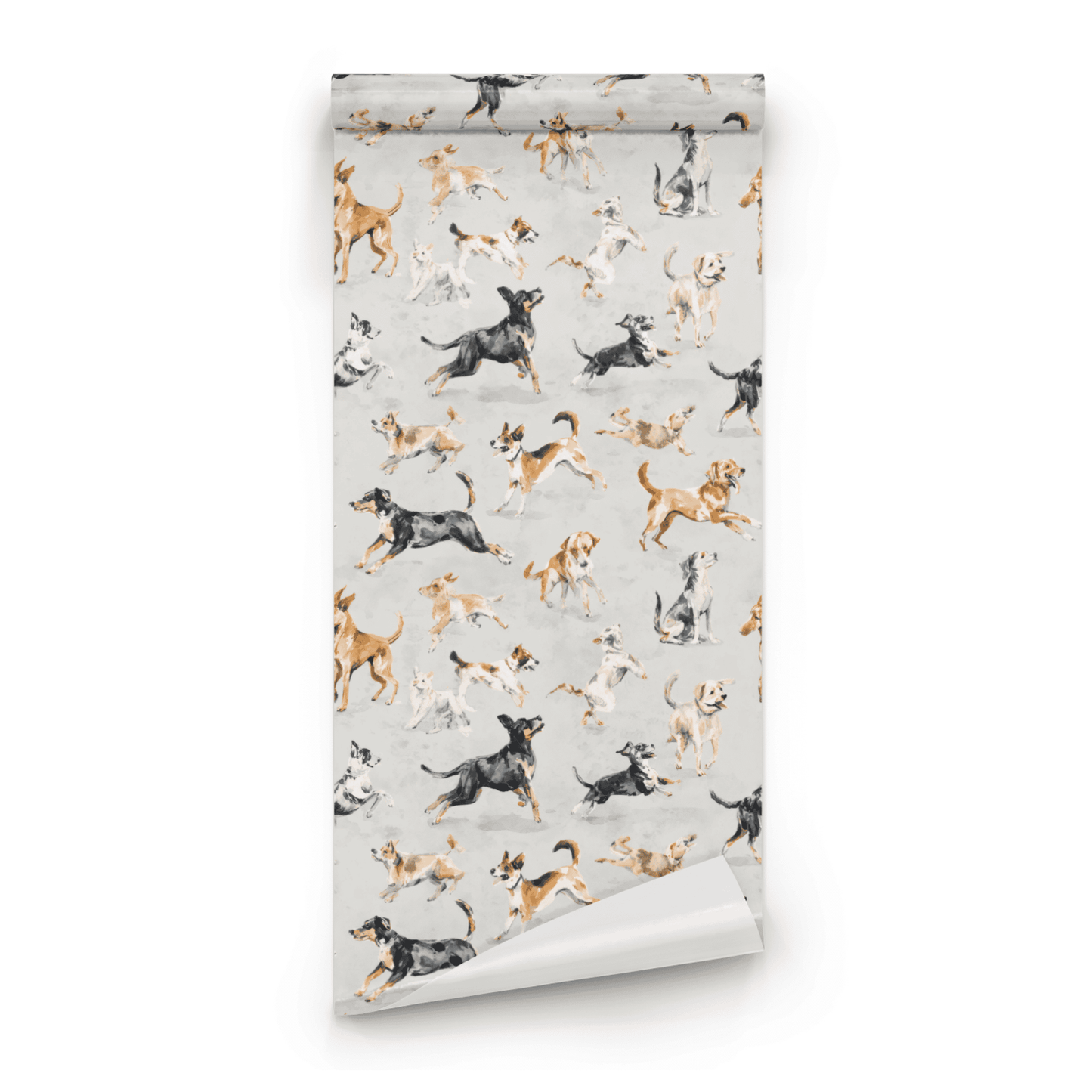 Playful Paws Wallpaper