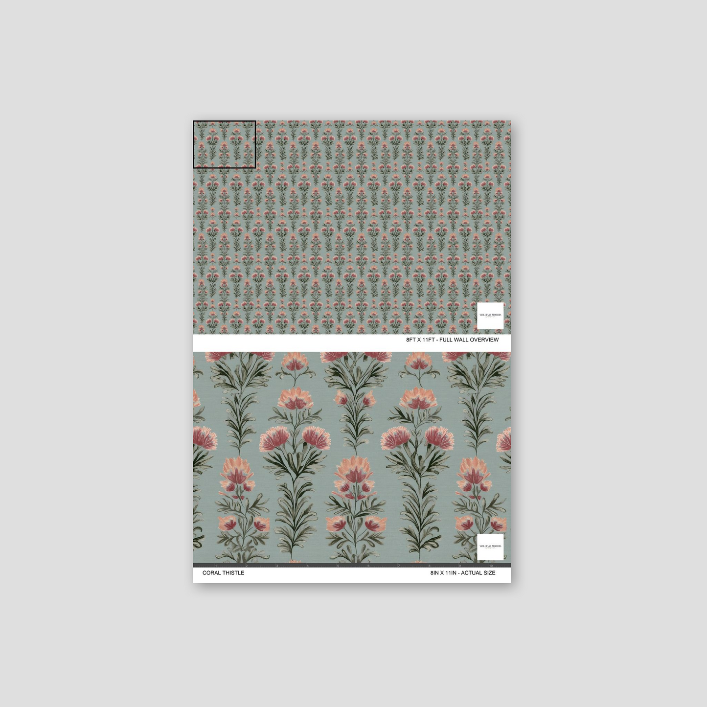 Coral Thistle floral wallpaper with coral and pink thistles on sage background