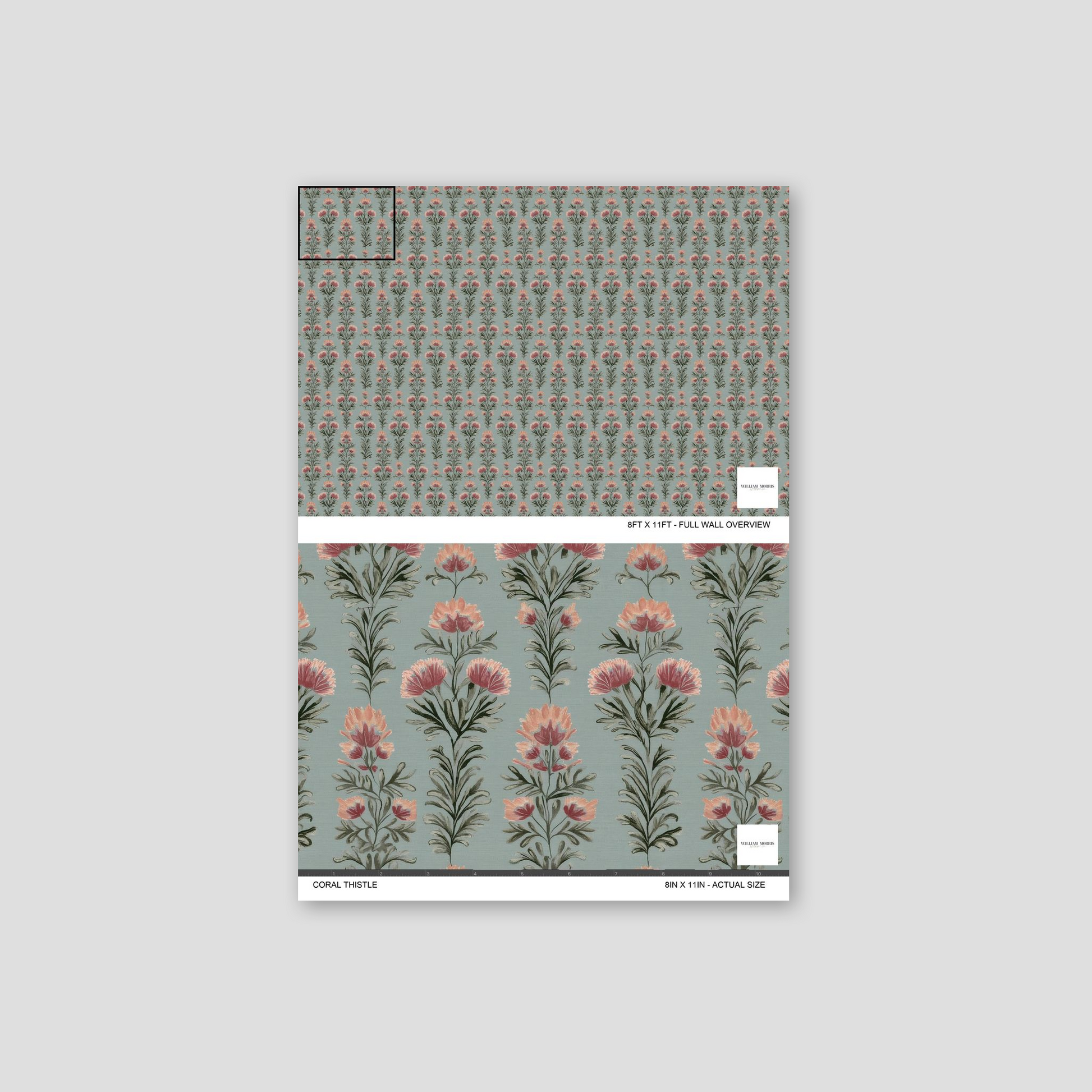 Coral Thistle floral wallpaper with coral and pink thistles on sage background