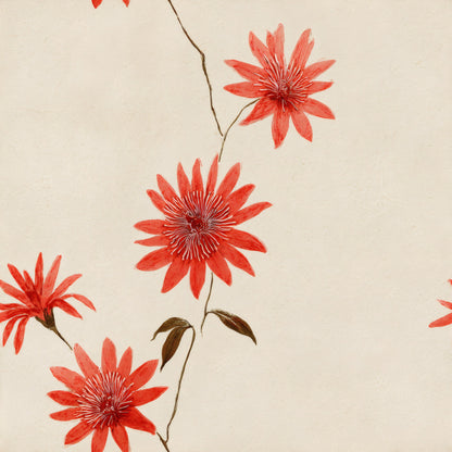 A single hand-drawn stem of vermilion aster flowers on a plain cream ground.