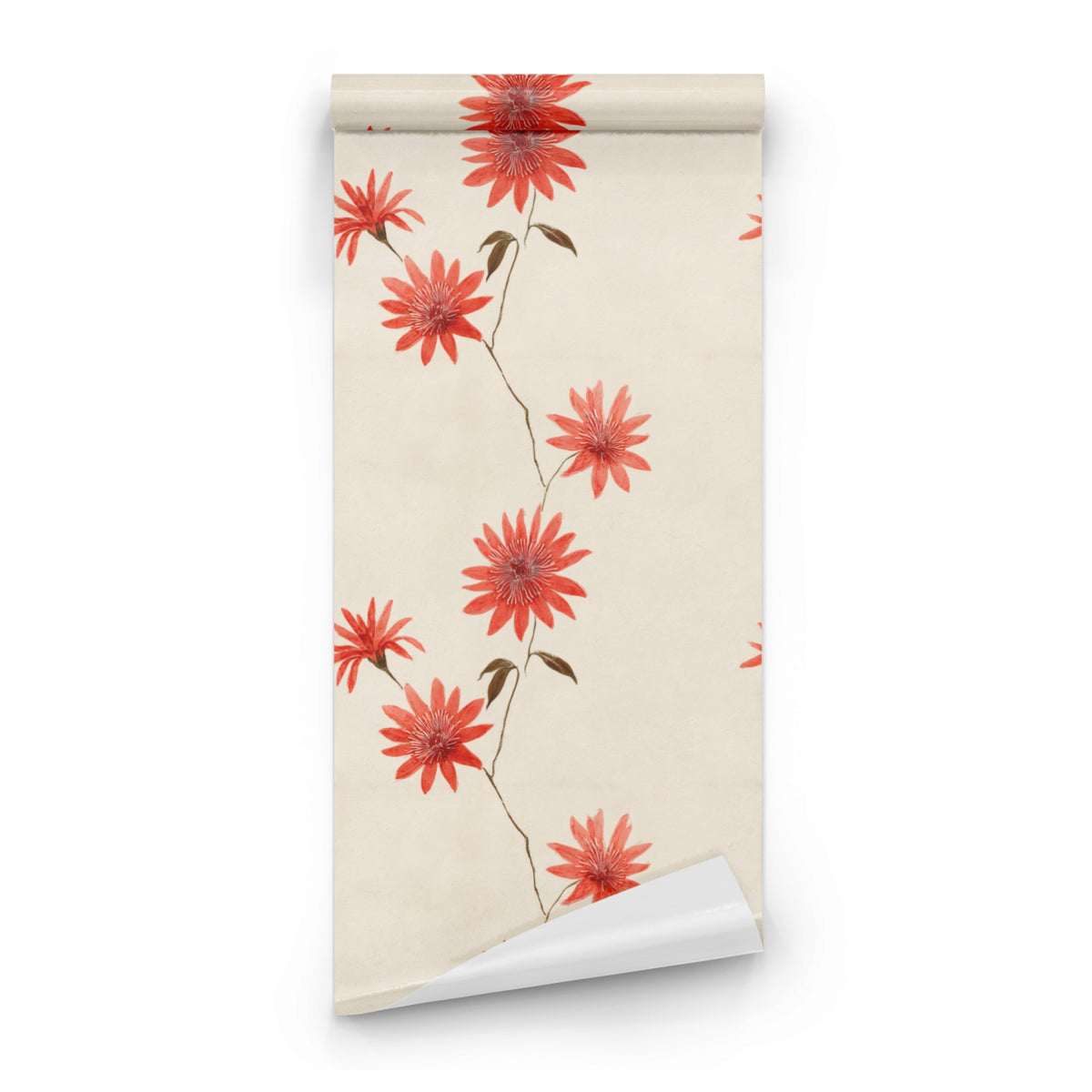 Lone Aster wallpaper roll
