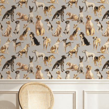 Paws & Whiskers Wallpaper