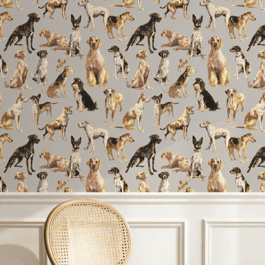 Paws & Whiskers Wallpaper