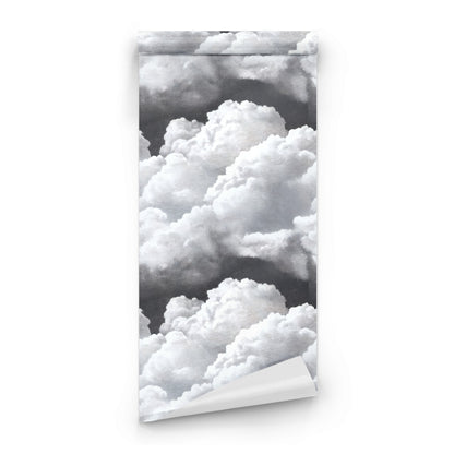 Roll of Storm Sky large scale wallpaper