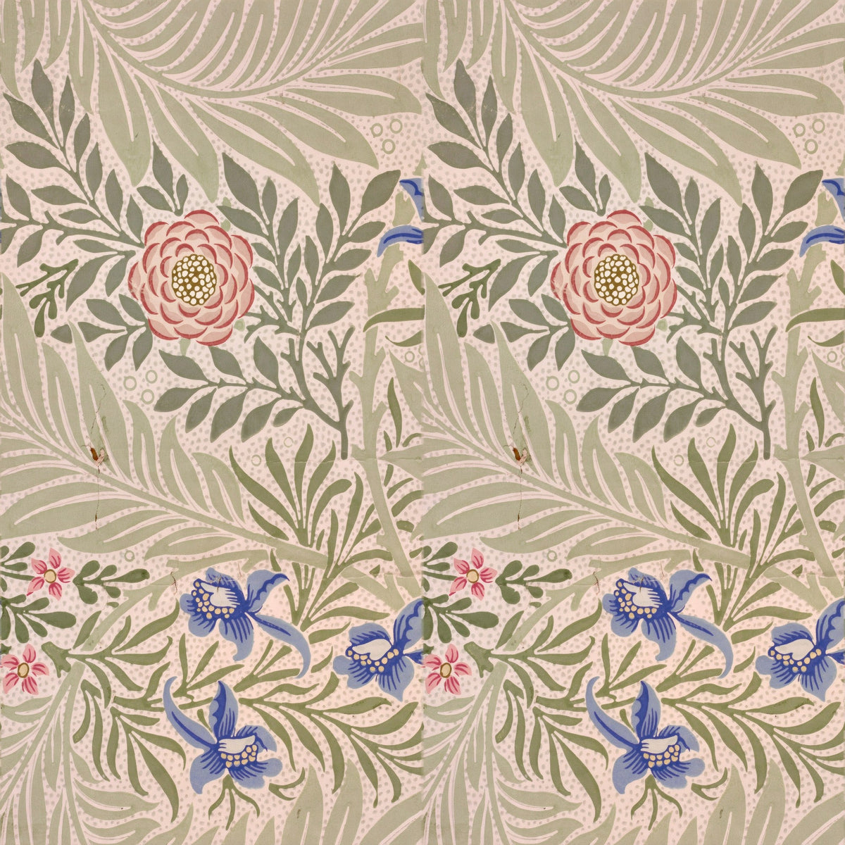 William Morris Larkspur Blush & Olive wallpaper pattern repeat